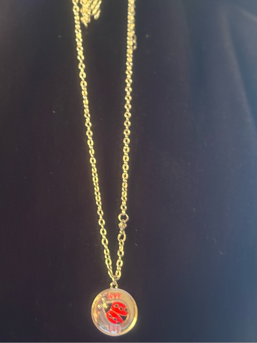 Silver Tone Ladybug Pendant Necklace - Red Enamel Charm